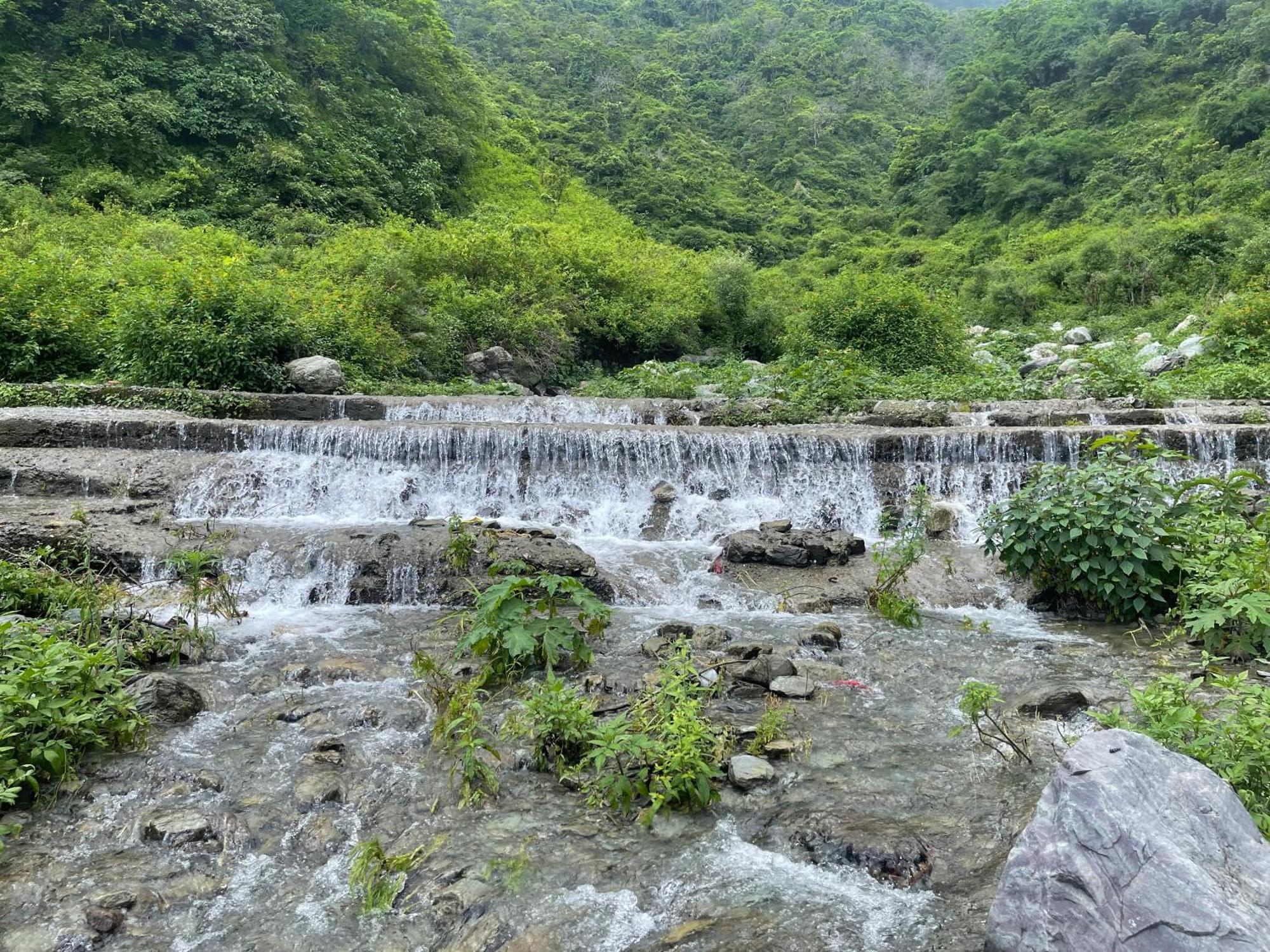 Hidden Nature Resort デヘラードゥーン エクステリア 写真